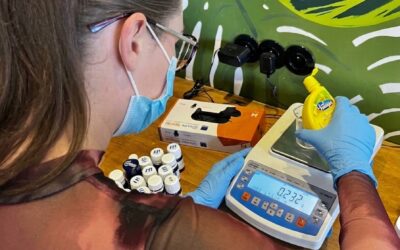Zostań technologiem żywności. Szkolenie dla technologów.